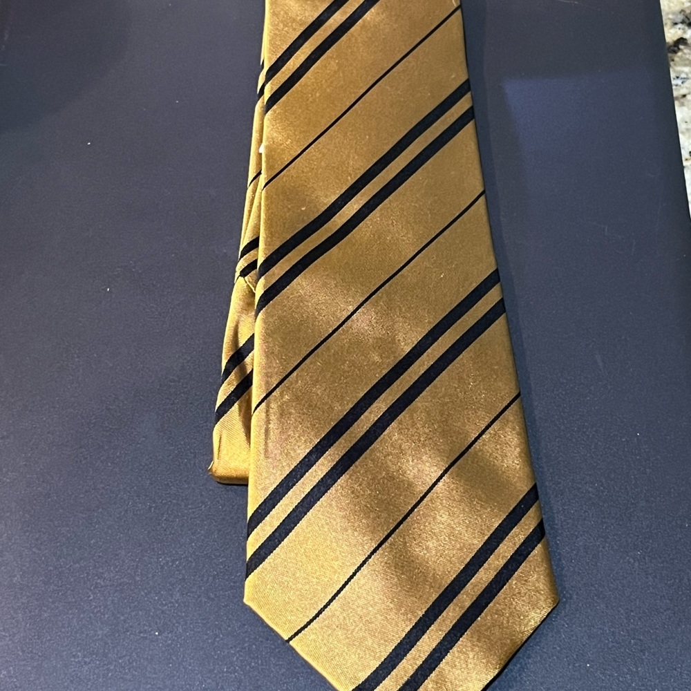 Harry Potter Warner Bros. Gold and Black Diagonal Striped Tie